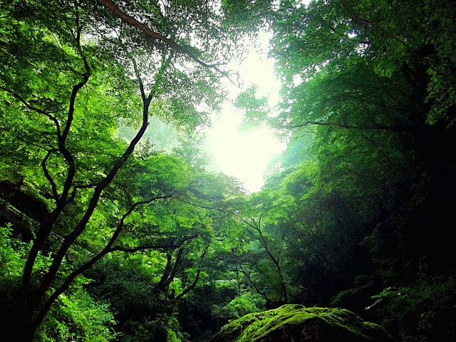 【神道の起源・成立期】神道とはなにか・いつ生まれたのか定義を踏まえて解説